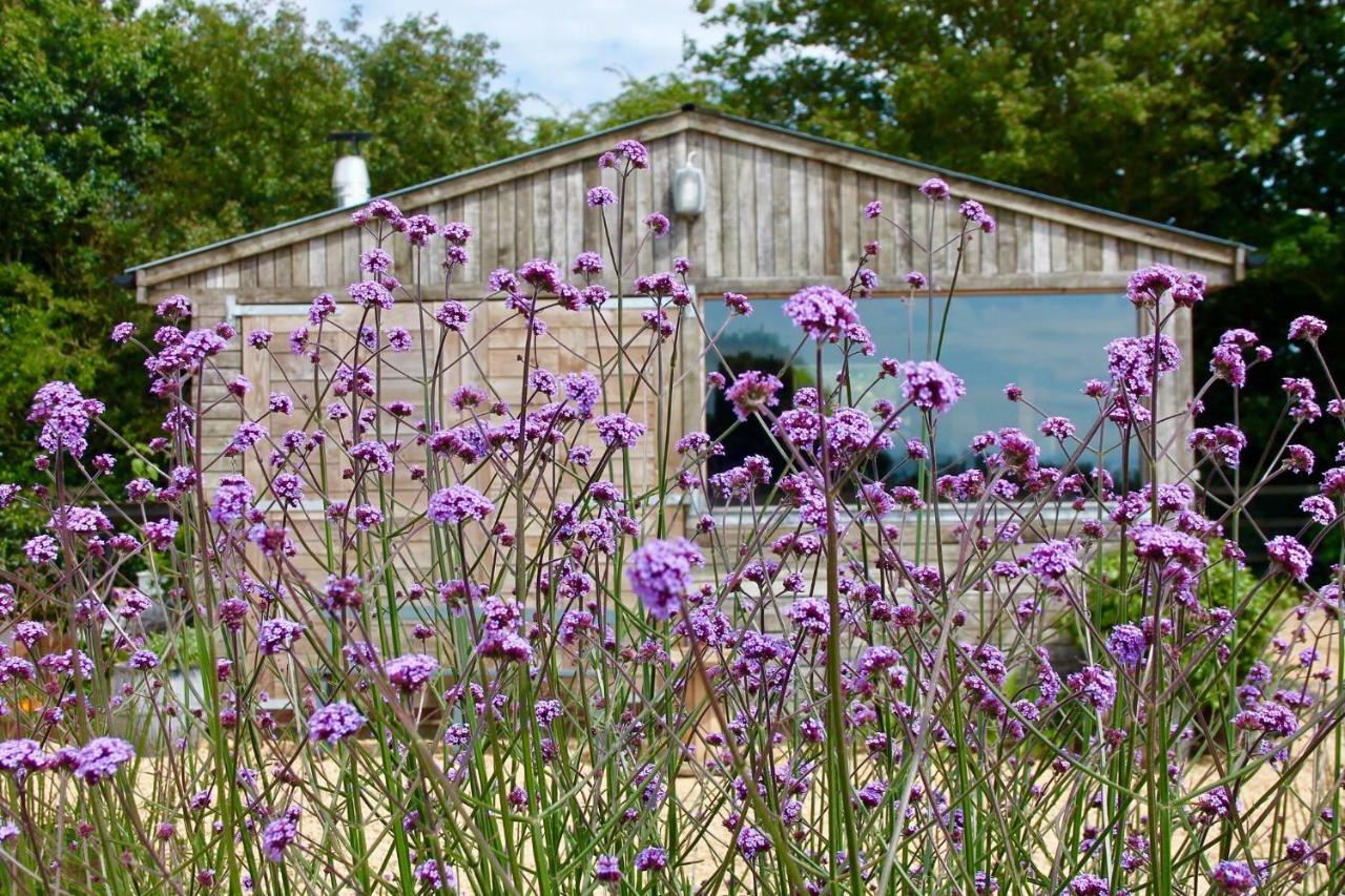 The Oaks Glamping - Pips Cabin Colkirk エクステリア 写真